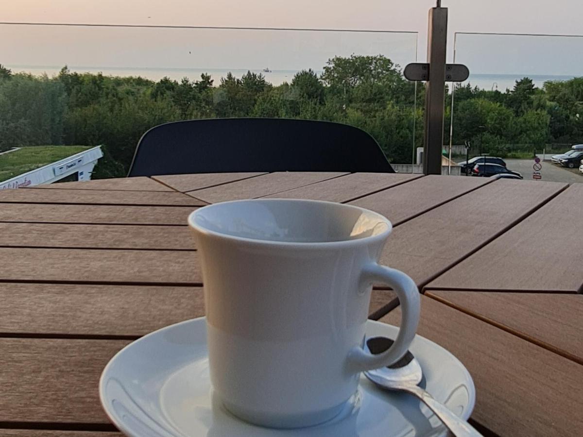 Seaside View * Свіноуйсьце