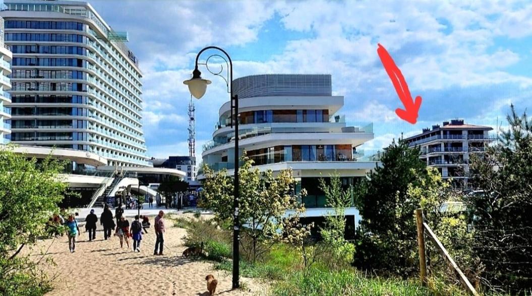 Seaside View * Свіноуйсьце